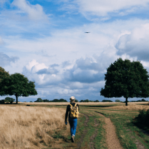 Mooiste wandelroutes in Friesland