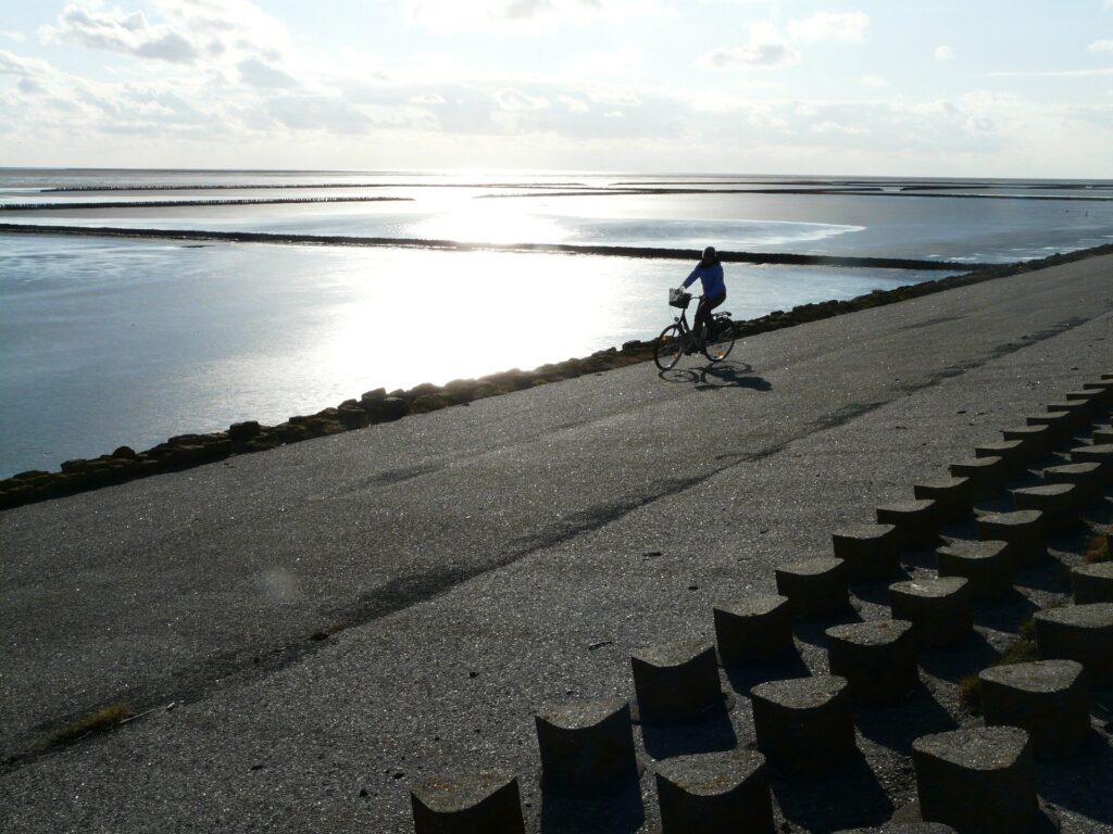 Wat is de mooiste route in Friesland op de fiets?