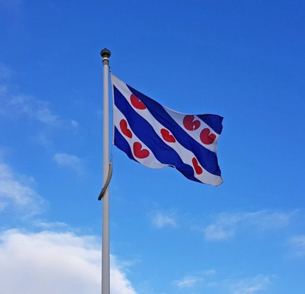 De Friese elf steden