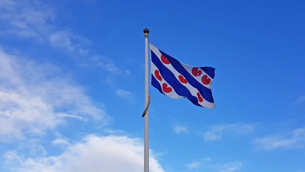 Friese vlag