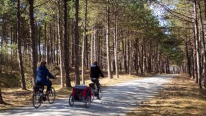 Fietsavontuur in Friesland