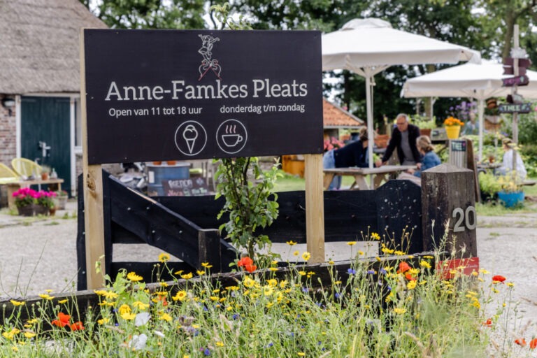 Anne-Famke's Pleats tuin