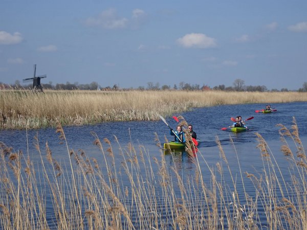 Kajakken kloesewier