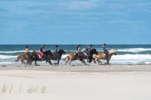 De beste seizoensgebonden activiteiten in Friesland