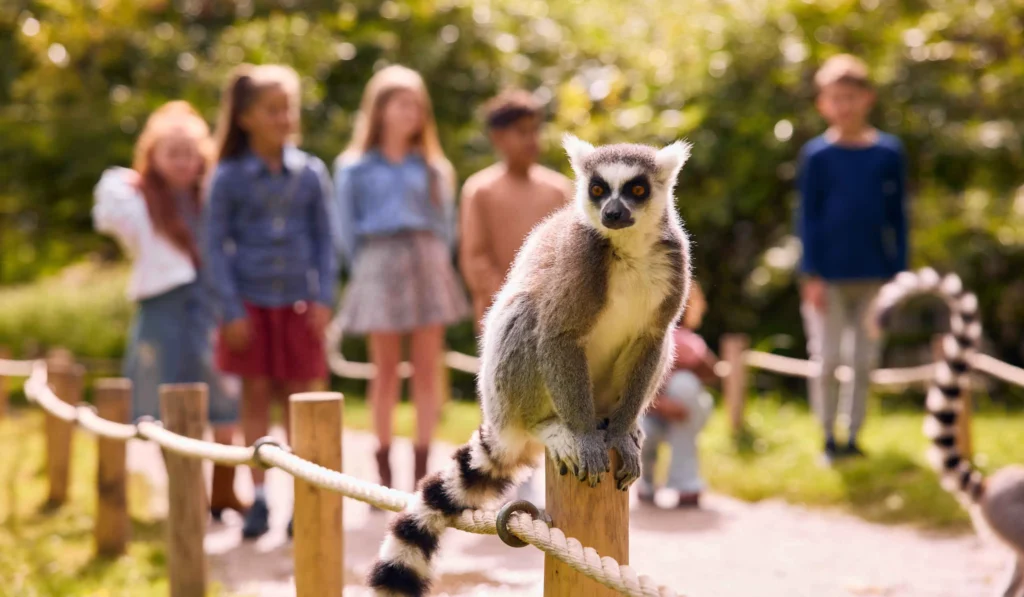 Aquazoo Leewarden?