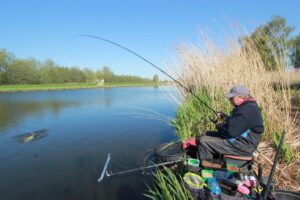 10 Redenen om Friesland te Kiezen voor Rust en Natuur