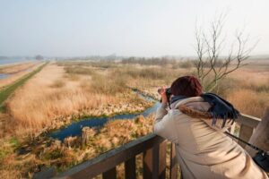 10 Redenen om Friesland te Kiezen voor Rust en Natuur