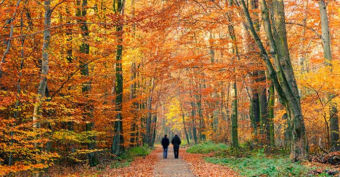 Herfstwandeling en overnachtingen