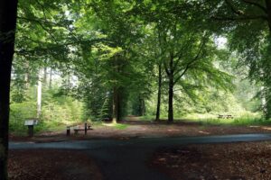 Herfstwandeling en overnachting?