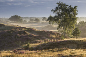 Herfstwandeling en overnachting?