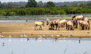 Herfstwandeling en overnachting?