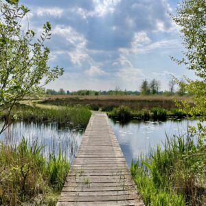 Herfstwandeling en overnachting?