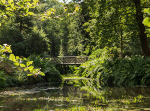 Herfstwandeling en overnachting?